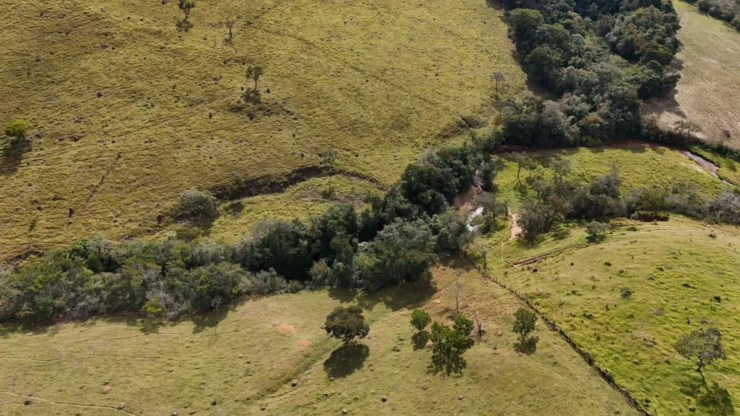 Imagem Fazenda à Venda em Belo Vale/MG ? 42 Hectares | R$ 2.800.000,00