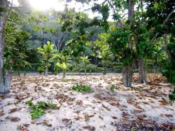Imagem Área de 296.000 m2 - Sendo 190 mts de Frente para Praia do Simão.