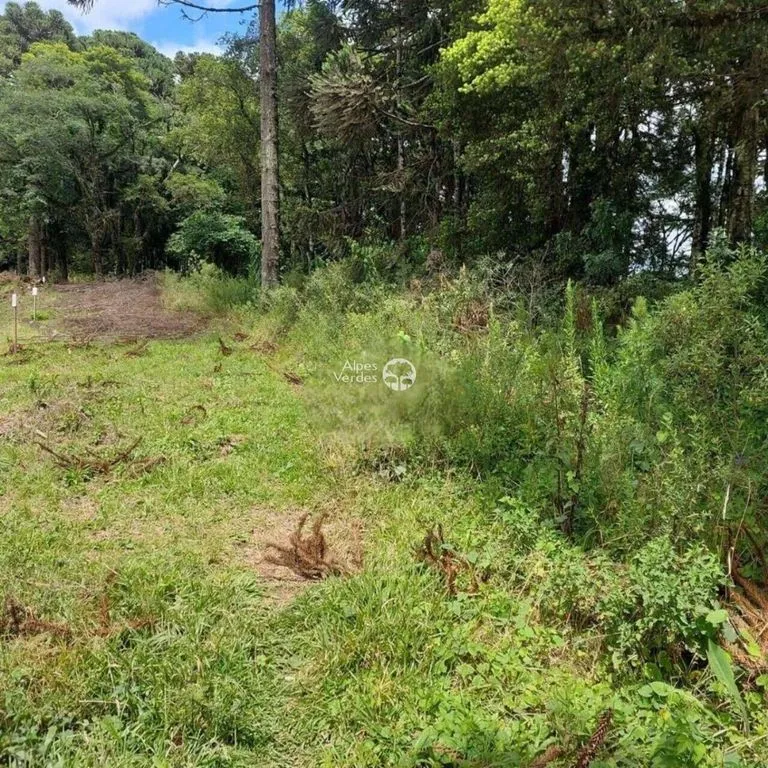 Imagem Terreno à venda no bairro São Luís em Canela - Lote 37 / Área de 553,55m2