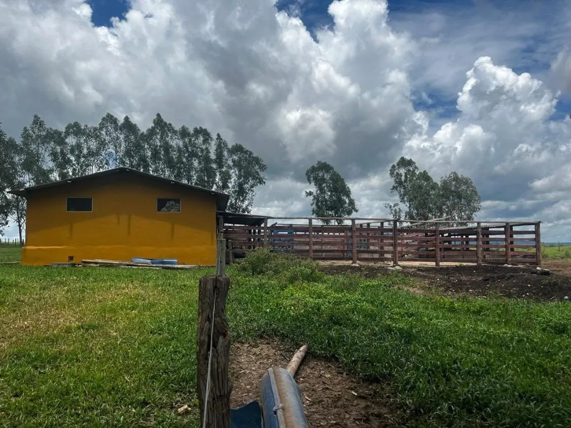 Imagem FAZENDA À VENDA ? PORTEIRA FECHADA / BUENÓPOLIS/MG área total de 223 hectares