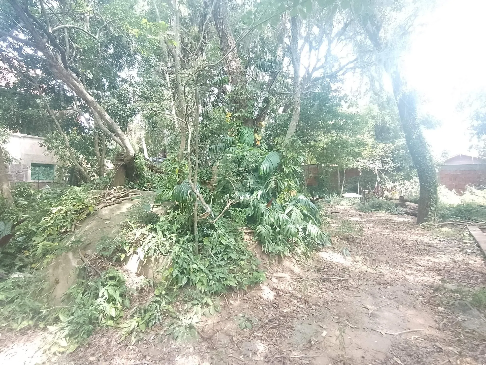 Imagem Terreno com área de 3.600m2 com 43m de margem no Rio Guaíba