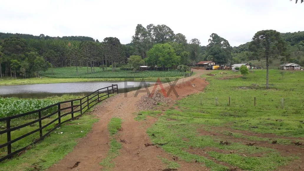 Imagem Area Rural Porteira Fechada, Arroio Fundo dos Rizis, TURVO - PR