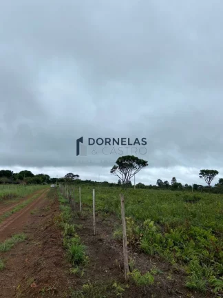 Imagem MUITO BARATO!! CHÁCARA COM 20.300M² A APENAS 3KM DA CACHOEIRA DO INDAIÁ FORMOSA GOIÁS