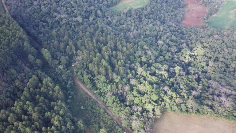 Foto do imóvel Terreno para Venda em Concórdia, Interior em Vila Barra Bonita