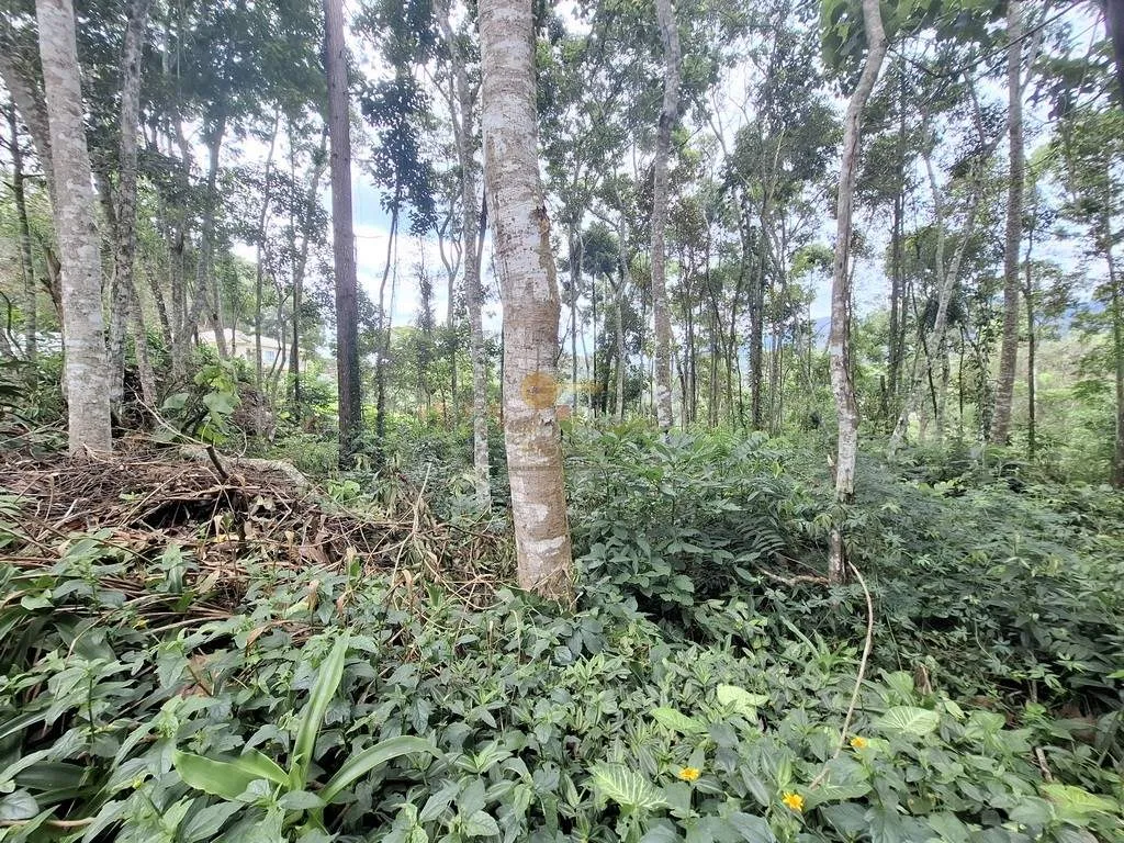 Imagem Terreno em Condomínio para Venda em Teresópolis / RJ no bairro Parque do Imbui