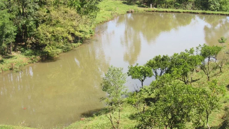 Imagem Área Agrícola para Venda em Arabuta, Rural