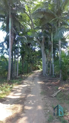 Imagem Chácara/Sítio, propriedade produtiva, 30 hectares com plantação de palmito pupunha, em Guaratuba PR