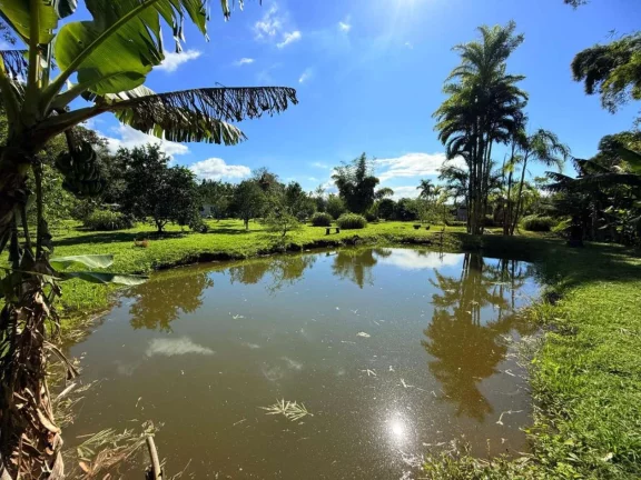 Imagem Chácara para Venda em Morretes, Zona Rural