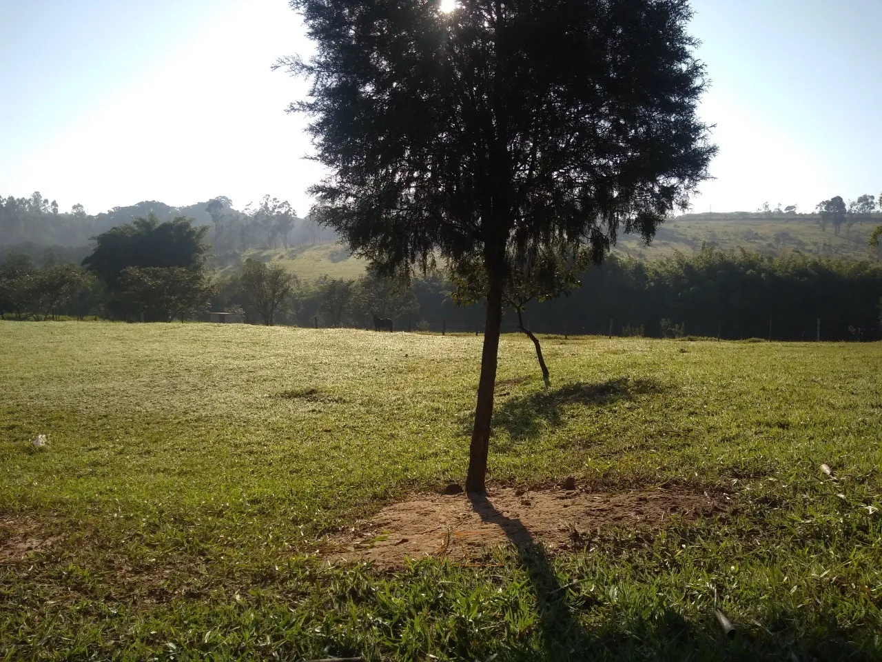Imagem Sitio em Itu-SP: 3 quartos, 1 suíte, sala ampla, 3 banheiros, 23.000m² de área no Parque Nossa Senhora da Candelária