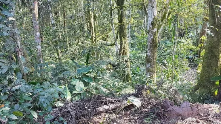 Imagem Área Rural para formar Chácara