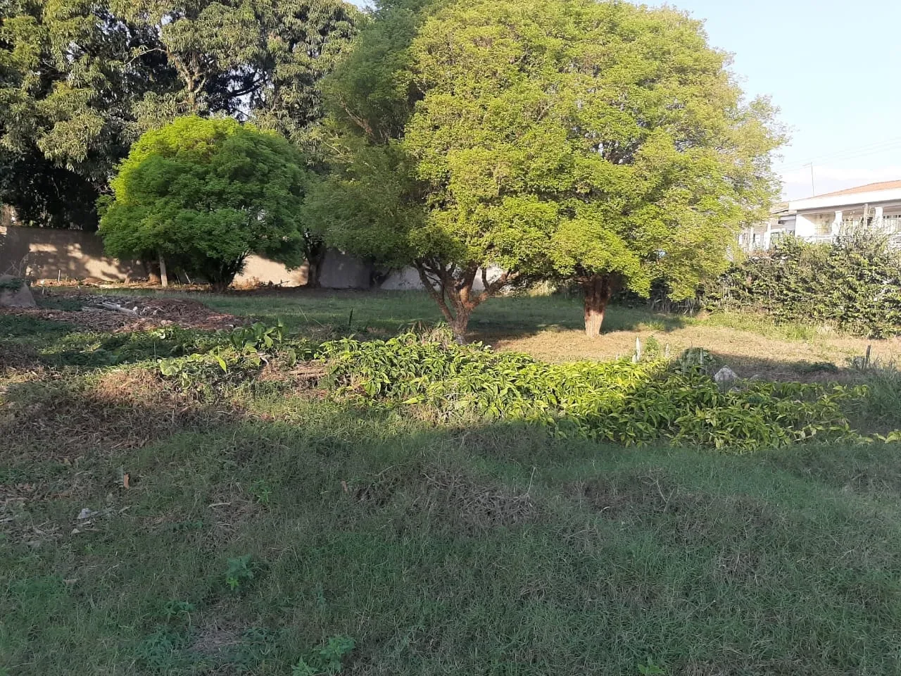 Imagem Terreno à venda 2260M², Chácara Tropical, Potim - SP