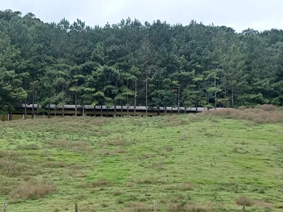 Imagem Área Agrícola para Venda em Ipumirim, Rural