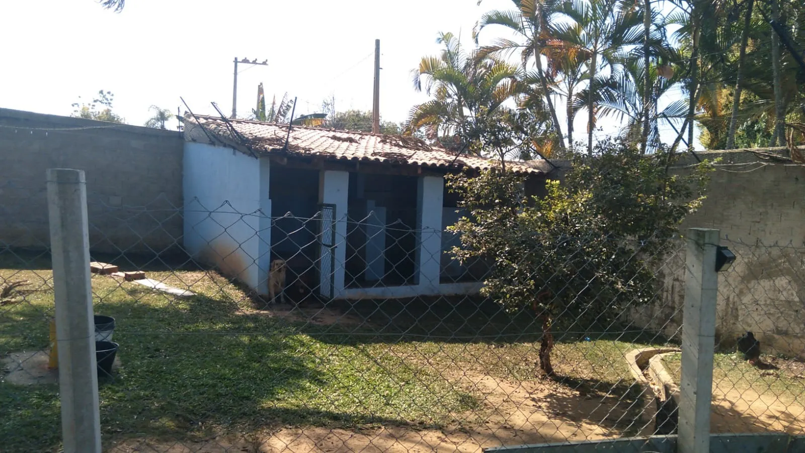 Imagem Chacara com 3 Suítes Colinas 1 Araçoiaba da Serra / SP