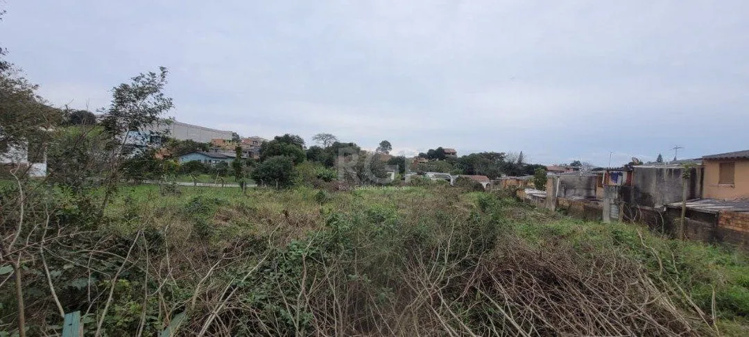 Imagem Terreno para Venda - 3.037m² no bairro Campo Novo