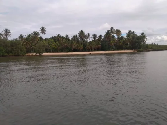 Imagem GLEBAS FRENTE MAR