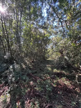 Foto do imóvel Chácara para venda no bairro Fazenda Souza em Caxias do Sul