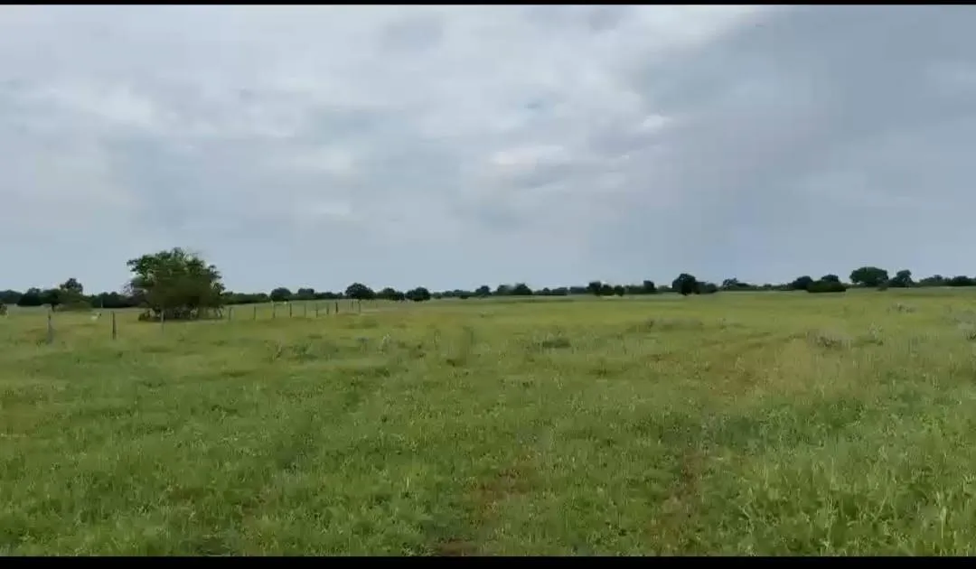 Imagem Vendo excelente fazenda em Jaíba/MG ?área total de 3.150 hectares