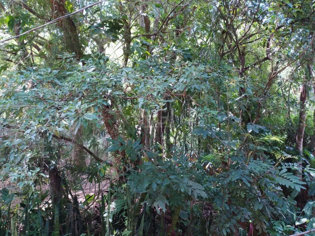 Imagem Area para Venda - 0m², 0 dormitórios, Belém Velho