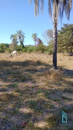 Imagem Fazenda a venda Oportunidade Única em Niquelândia Goiás- GO