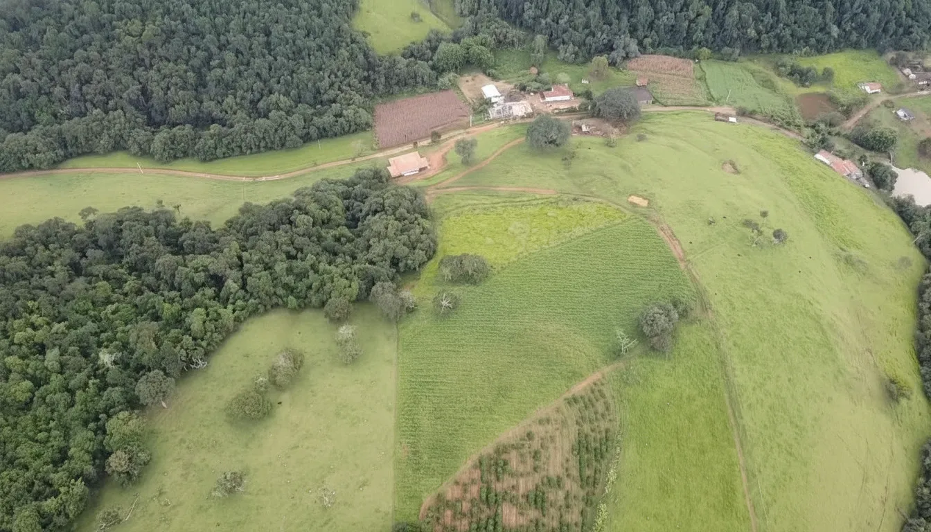 Imagem Sítio 5 m² à venda em Santana de Caldas, Caldas