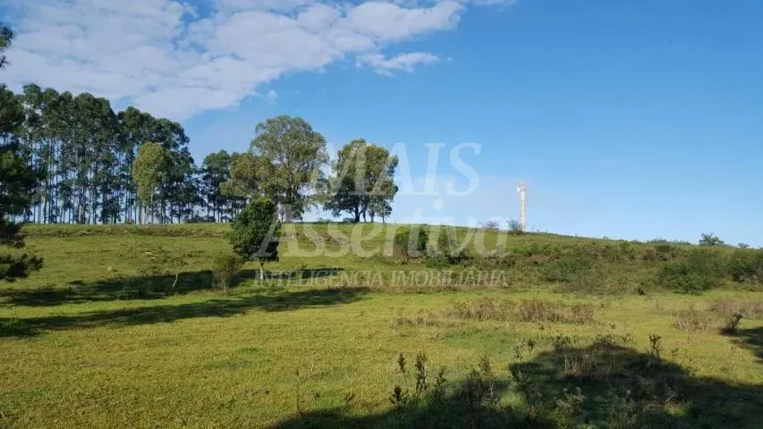 Imagem Excelente sítio para venda localizado no bairro Morungava em Gravataí/RS