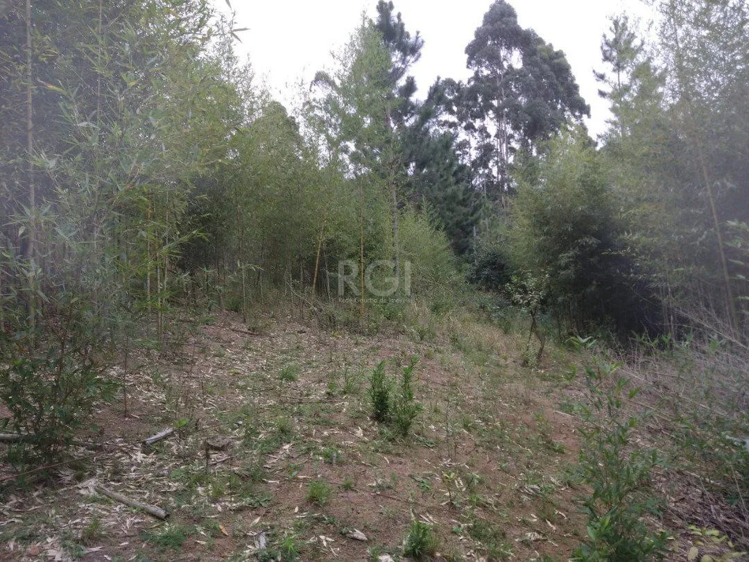 Imagem Área para Venda - 11,39ha, bairro Belém Velho