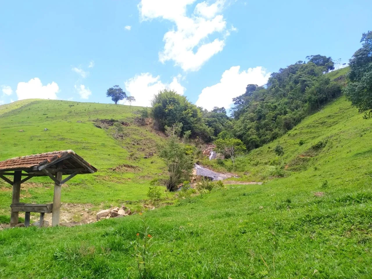 Imagem FAZENDA COMPLETA E ESTRUTURADA PARA PECUÁRIA - 105,5 ALQUEIRES