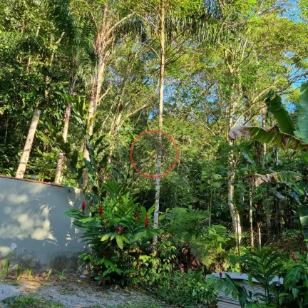 Imagem Lindo terreno na Beira Rio, com 1500 mt com patamar e area de preservaçao.