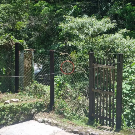 Imagem TRES CASAS EM UM TERRENO DE 700 MT COM ACESSO PARA O RIO. ENTRADA CONJUNTA PARA GARAGEM, PELA RUA