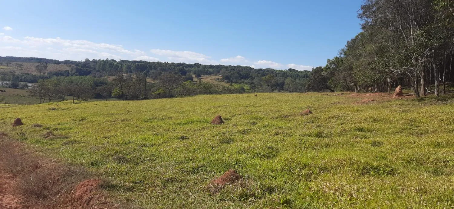 Imagem Terreno à Venda em Carmópolis de Minas 13,5 hectares, todo formado