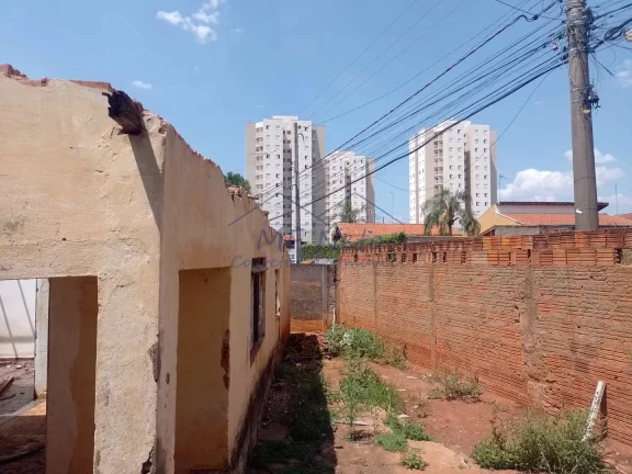 Imagem Terreno Padrão