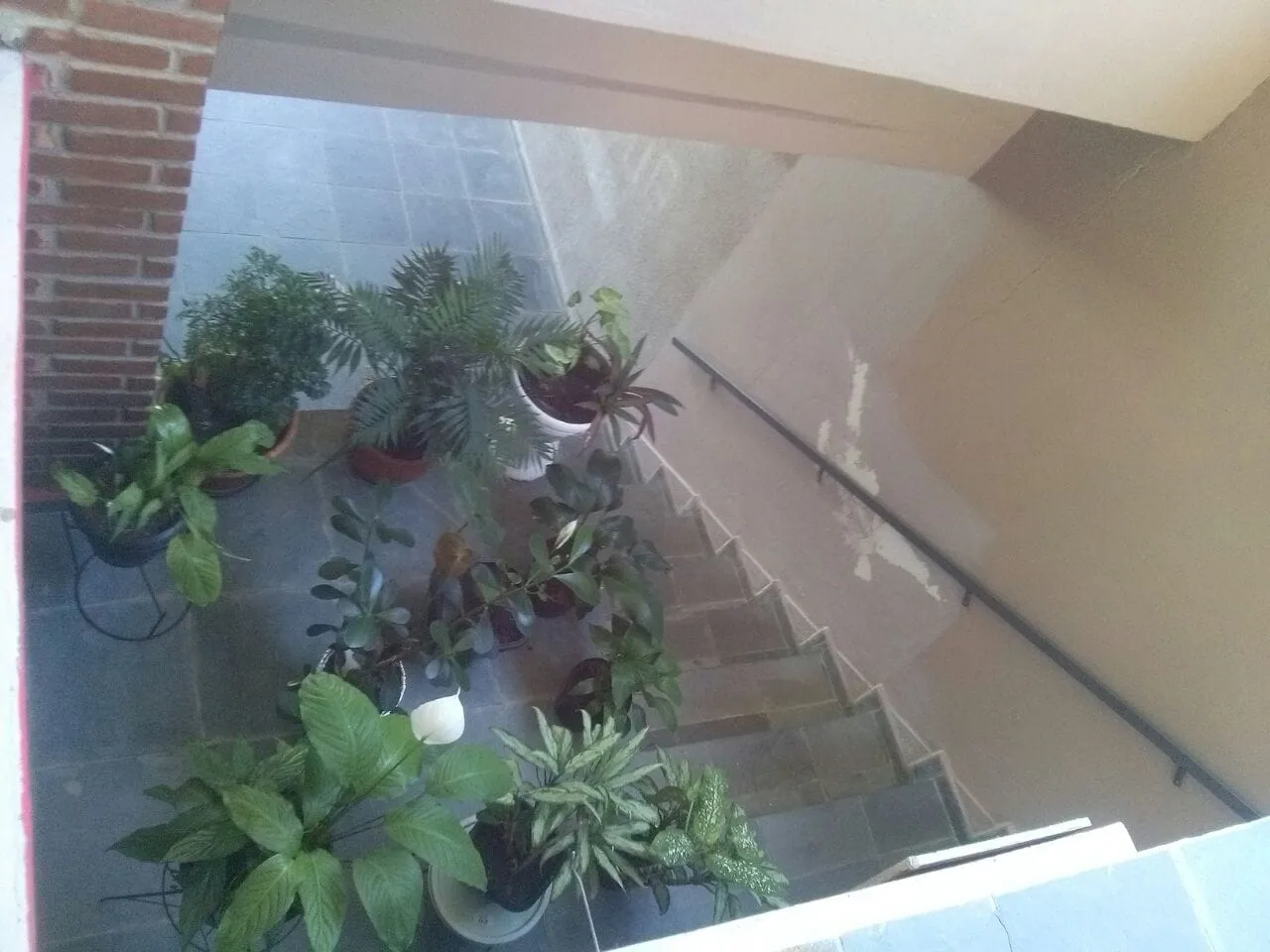 Imagem Casa à venda 3 Quartos, 1 Suite, 2 Vagas, 530M², Vila São Benedito, Pindamonhangaba - SP