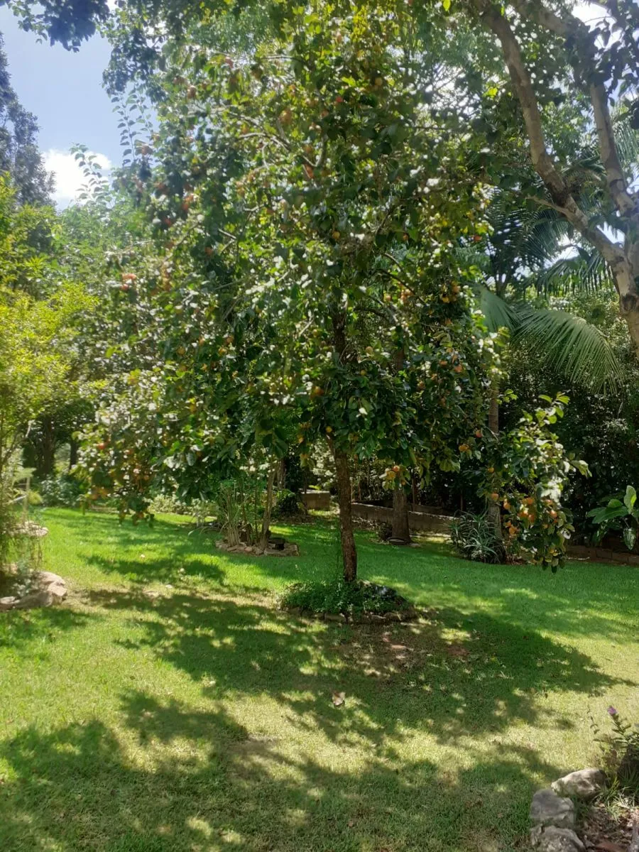 Imagem CASA EM CONDOMÍNIO FECHADO SERRA NEGRA-SP