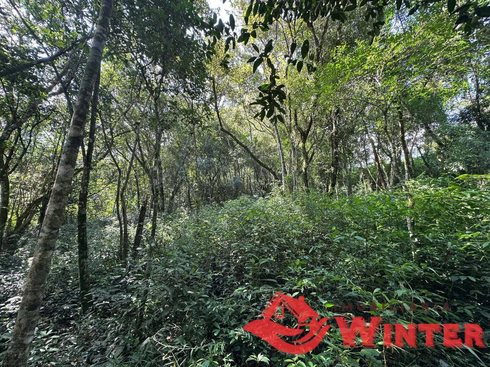 Imagem Área com 2162 m2 em São Vendelino