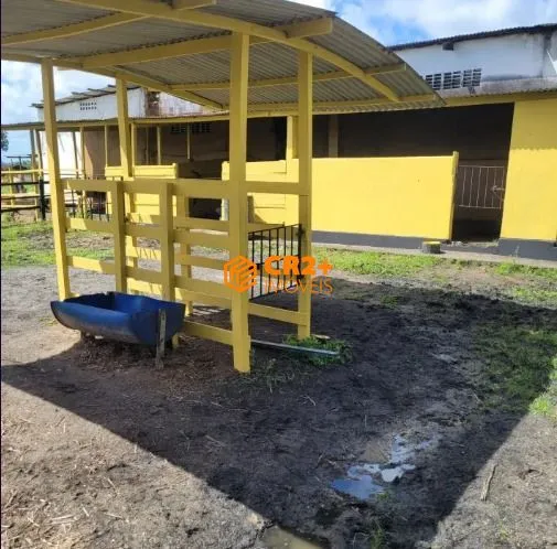 Imagem Chácara à venda em São Lourenço da Mata com 30.000M²