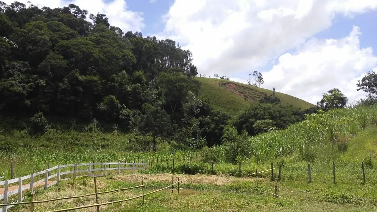 Imagem Chácara à venda 3 Quartos, 36000M², Zona Rural, Cunha - SP