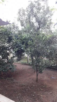 Imagem Casa de Condomínio com 4 Quartos à Venda, 260 m² em Botujuru - Mogi das Cruzes