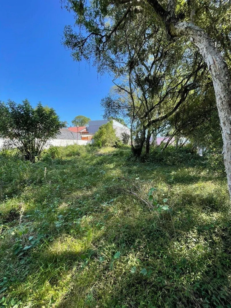 Imagem Terreno em Ipanema