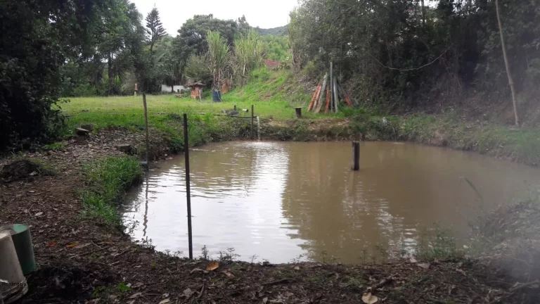 Imagem SITIO RURAL em CALDAS - MG, LARANJEIRAS DE CALDAS