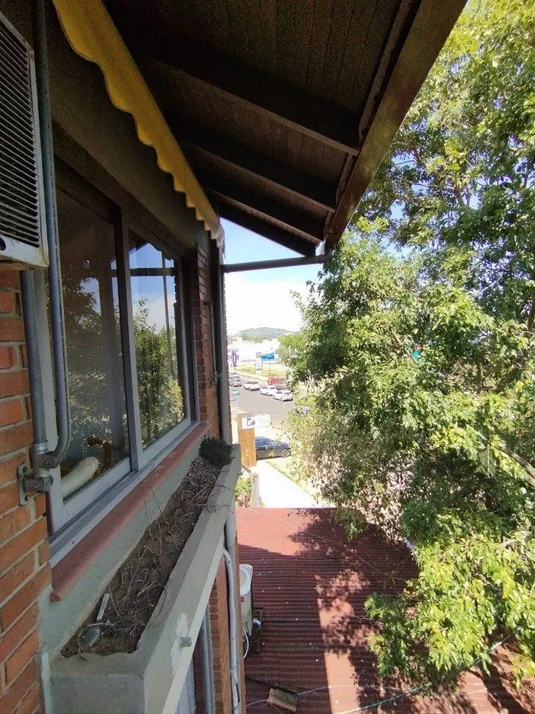 Imagem Apartamento em Pedra Redonda