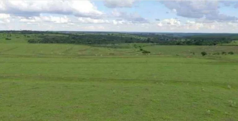 Imagem Fazenda a VENDA, 66 alqueires, Região Bauru