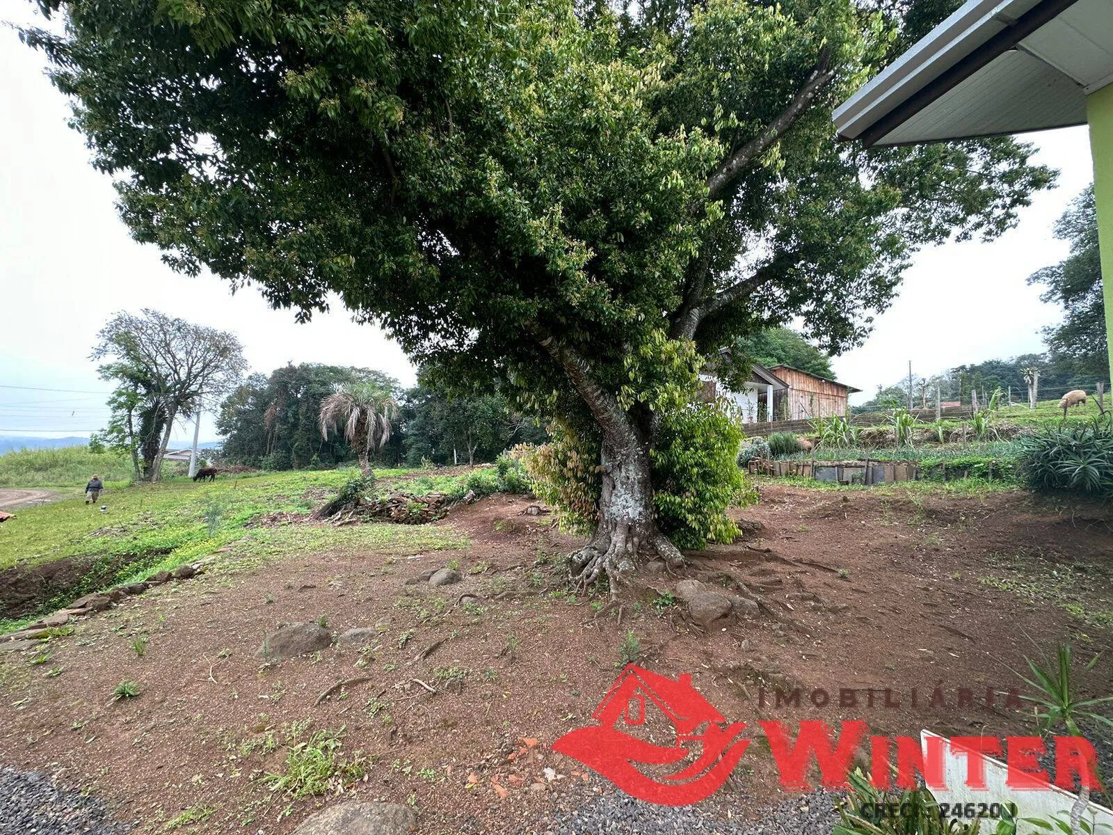 Imagem Casa com 3 dormitórios no bairro Picão, Feliz.