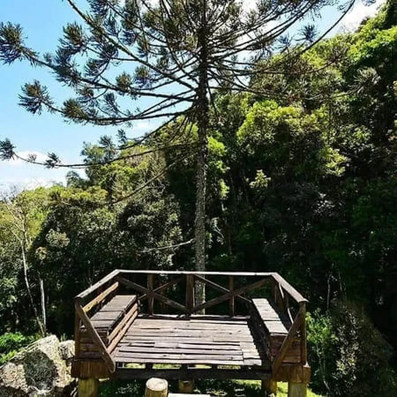 Imagem Chácara com 9 Quartos à Venda ou Temporada, 800 m² em Alfredo Wagner - Alfredo Wagner