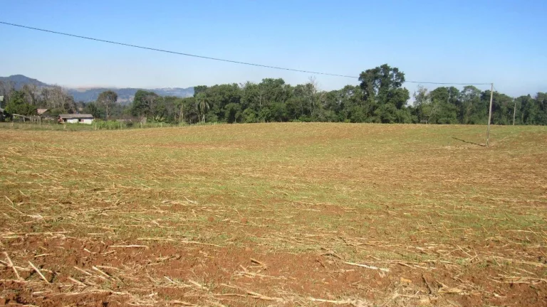 Imagem Terreno para Venda em Concórdia, Santo Antônio