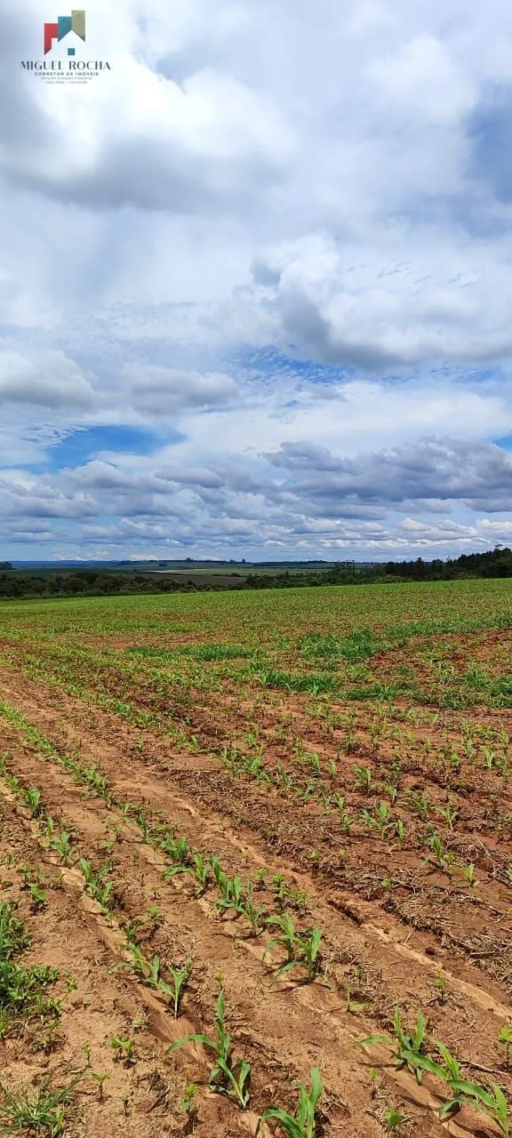 Imagem Fazenda a venda São Miguel Arcanjo SP