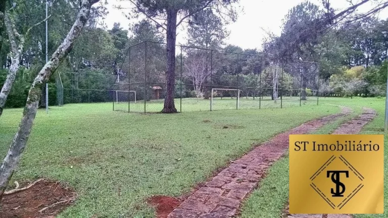 Imagem Sítio à venda em Jarinu