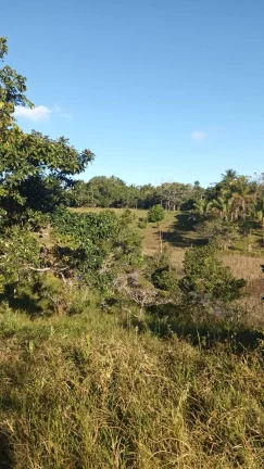 Imagem ÁREA RURAL PRÓXIMA À SERRA GRANDE