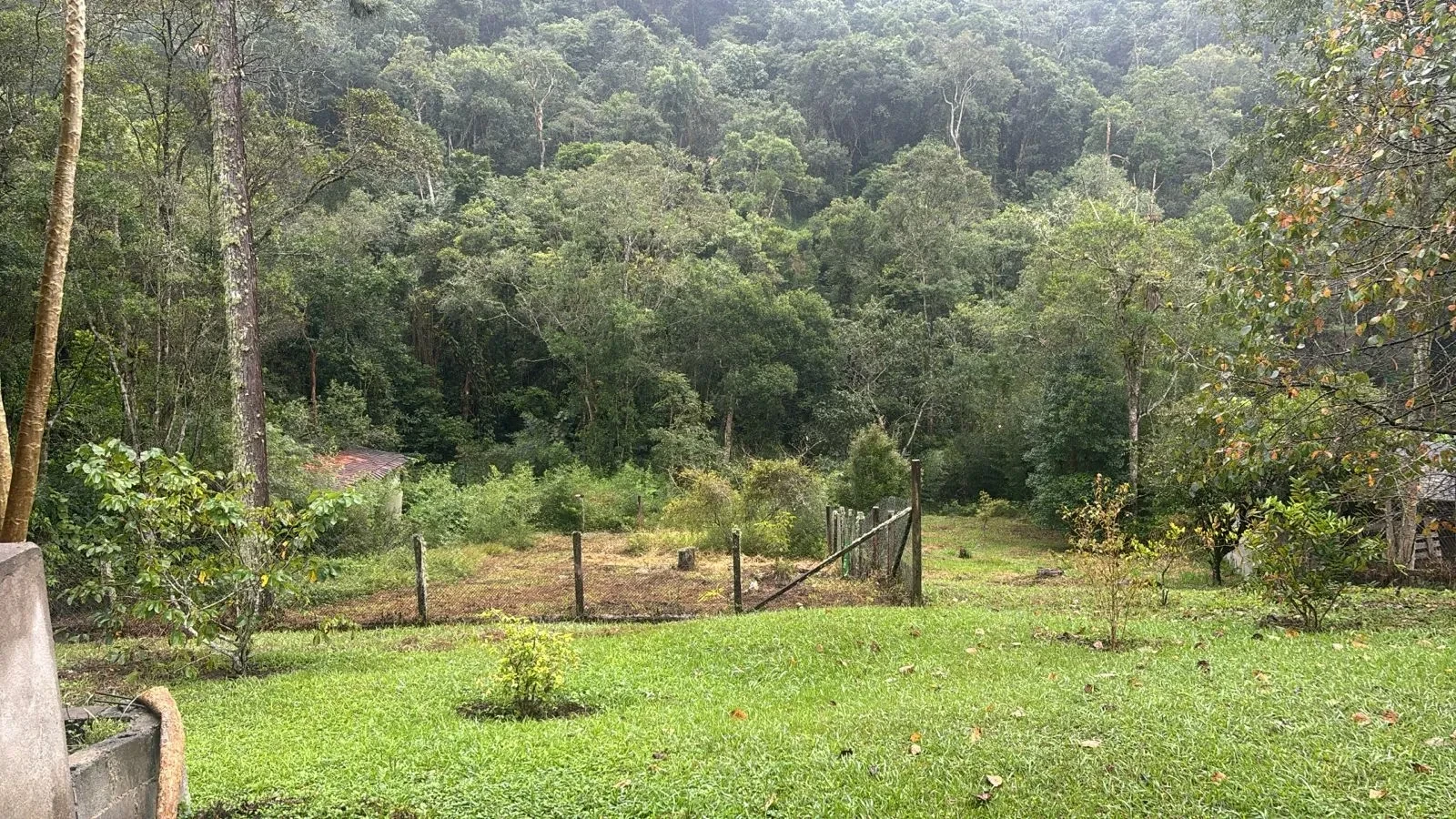 Imagem Chácara com 3 Quartos à Venda, 4000 m² em Rio Grande da Serra - Rio Grande da Serra