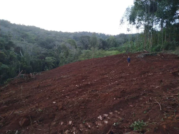 Imagem Terreno para Venda em Concórdia, Linha Vitoria