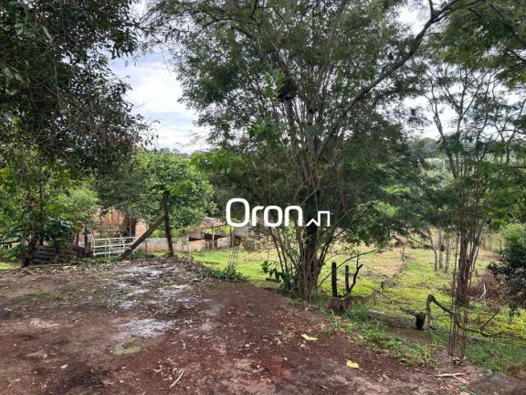 Imagem Chácara com 3 dormitórios à venda, 12000 m² por R$ 650.000,00 - Zona Rural - Nova Veneza/GO